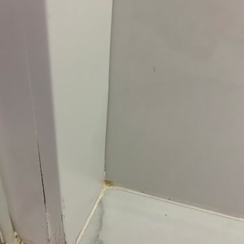 Ertekin Mobilya (Kayseri) Mağduriyeti