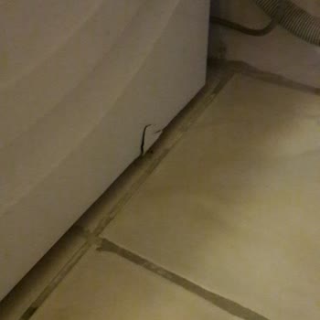 Profilo Çamaşır Makinesi Boya Kalkması