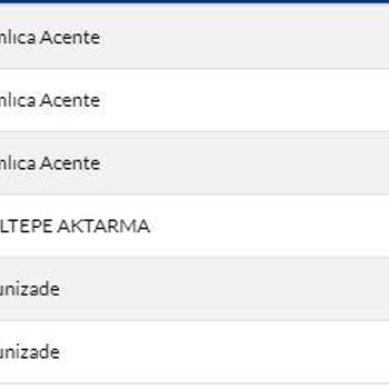Sürat Kargo Teslim Etmemek Üzere...