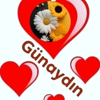 Telegram Giremiyorum Numaram La