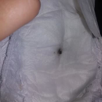Baby Turco Baby Turca Bezin İçinde Bisi Cıktı