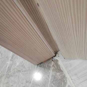 Variodor Kapımın Sorunlarından Dolayı Eksper Geldi Ama Sonuç Yok