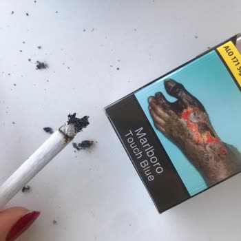 Marlboro Paketinin İçindeki Odun