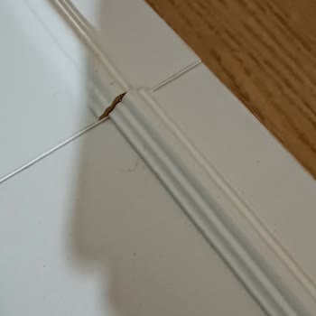 Baby Darling Hasarlı Ürün Değişimi