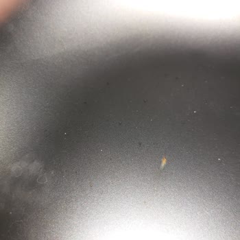 Teka Eviyede Leke/Pas Oluşumu