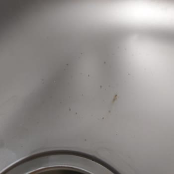 Teka Eviyede Leke/Pas Oluşumu