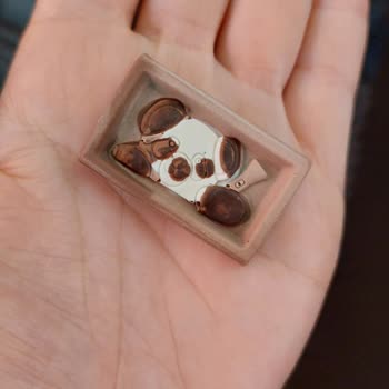 Eti Gıda Eti Petito Bozulmuş Durumda