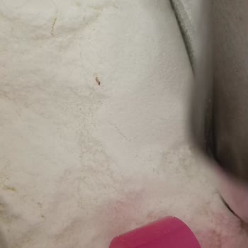 Bebivita Mamadan Kurt Çıkması