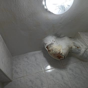 Doğa Sigorta A. Ş. Hasarımı Karşılamıyor