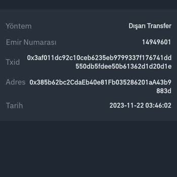 Gomining Yanlış Token Transfer