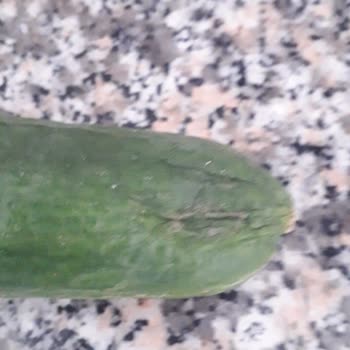 A101 Kapıda Uygulaması Bozuk Ürün Getirdi