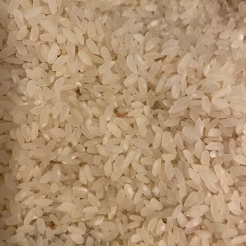 Duru Bulgur Açılmamış Pirinçten Bir Sürü Kurt Çıktı