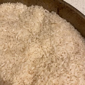 Duru Bulgur Açılmamış Pirinçten Bir Sürü Kurt Çıktı