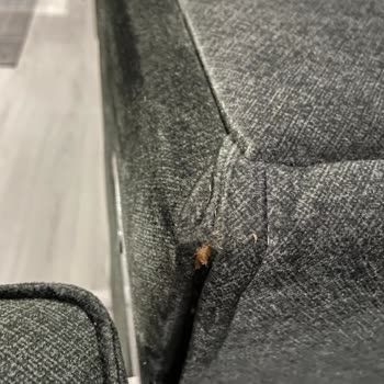 İstikbal Paramla Rezil Etti Beni