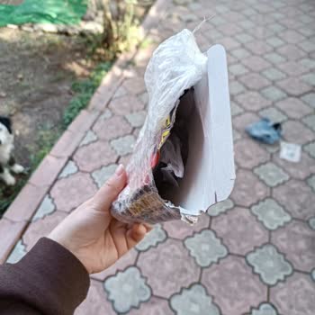 Trendyol Express Köpeğim Kurye Hastasından Dolayı Ölüyor