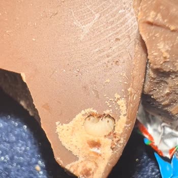 Migros Elit Marka Çikolata