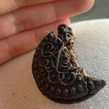 Torku Bisküviden Kıl Çıktı