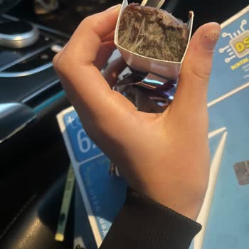 Küflü Kek Bozulmuş Çikolata Ülker