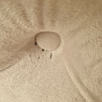 Mobilya Dünyası (Ankara) Mobilya Koltuk Hasarları