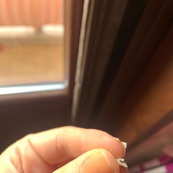 Şok Marketler Kaşar Peynirinin İçinden Böcek Çıkması