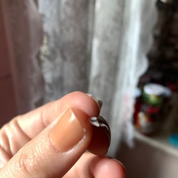 Şok Marketler Kaşar Peynirinin İçinden Böcek Çıkması
