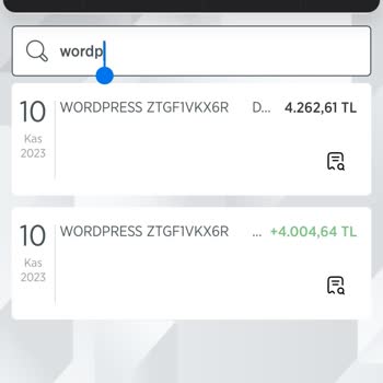 Wordpress.com Paranın Eksik İadesi