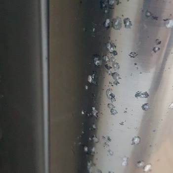 LG Çamaşır Makinesi Çürüyor