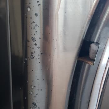 LG Çamaşır Makinesi Çürüyor