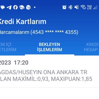 Çağdaş Marketler Çalışanı Yavru Köpeğim Var Diye Beni Kovdu