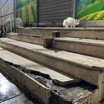 Happy Center Hasarlı/Kırık Merdivenlerin Onarılmaması Ve Yaşanan Sakatlıklar