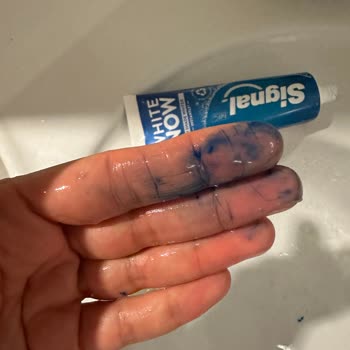 Signal Diş Macunu Boyası