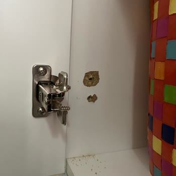 IKEA Çamaşır Makinesi Dolabı Suntası Deformasyon