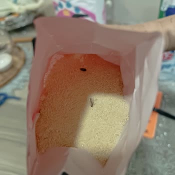 Rota Market Böcek Çıktı İçinden