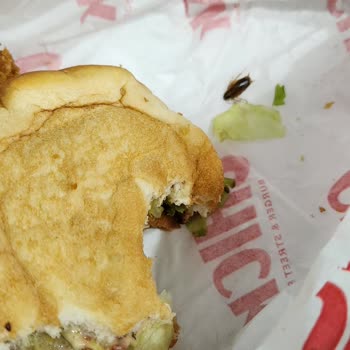 Getir Burgerden Böcek Çıkması