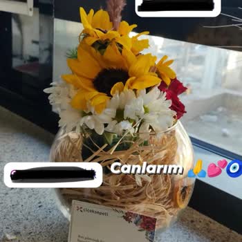 Çiçek Sepeti Özensiz Kötü Ürün Gönderdi