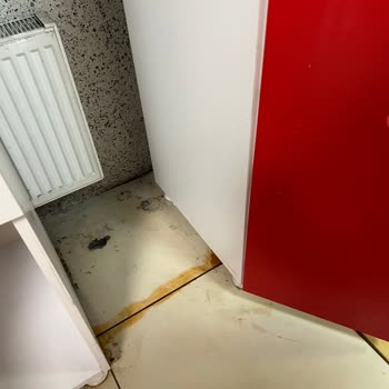 Göktürk Aile Yaşam Ve Eğitim Merkezi Wellness Merkezi Hizmet Kalitesi Ve Hijyen Deneyimi