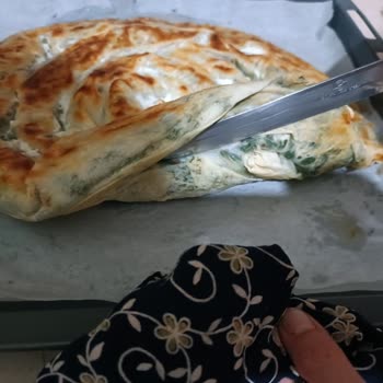 Profilo Ankastre Fırın Pişirme Problemi