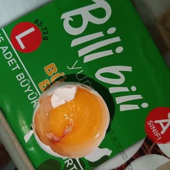 BİM Bili Bili Yumurta Civciv Kuluçkası