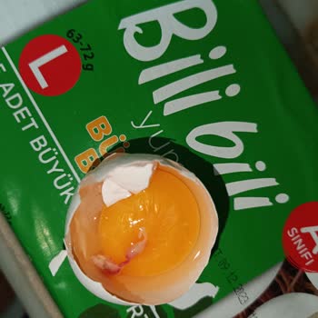 BİM Bili Bili Yumurta Civciv Kuluçkası