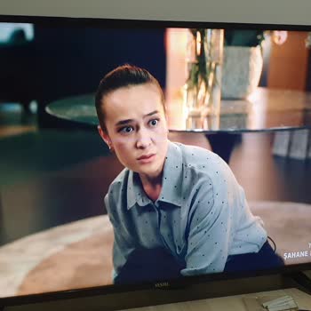 Vestel Kronik Panel Sorununun Giderilmesi