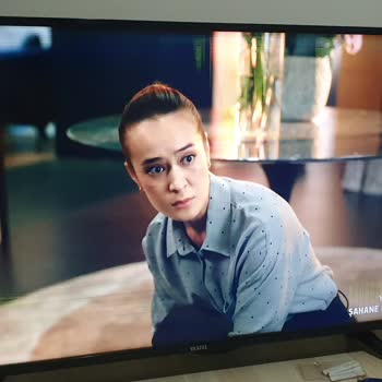 Vestel Kronik Panel Sorununun Giderilmesi