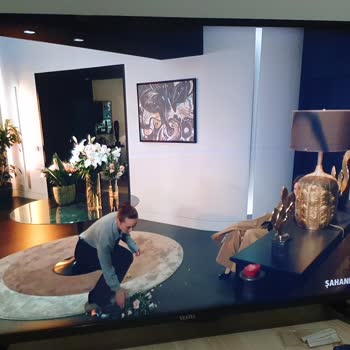 Vestel Kronik Panel Sorununun Giderilmesi