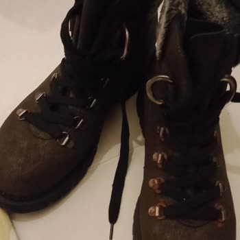 Divarese Paslanan Bot Hakkında Şikayetçiyim