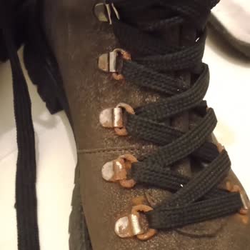 Divarese Paslanan Bot Hakkında Şikayetçiyim