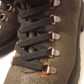 Divarese Paslanan Bot Hakkında Şikayetçiyim