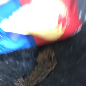 Ruffles Yanık Patates Sürprizi