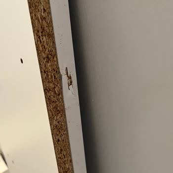 MNG Kargo'nun Çalışmaması Ve Kargoya Zarar Vermesi