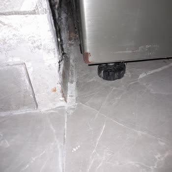 Samsung Buzdolabı Dondurucu Alt Kısmında Küflenme Var