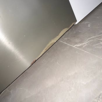 Samsung Buzdolabı Dondurucu Alt Kısmında Küflenme Var