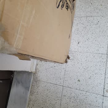 Trendyol'dan Alınan Kondisyon Bisikleti Arızalı